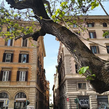 Vatican Near Sweet Home Terrace ローマ エクステリア 写真