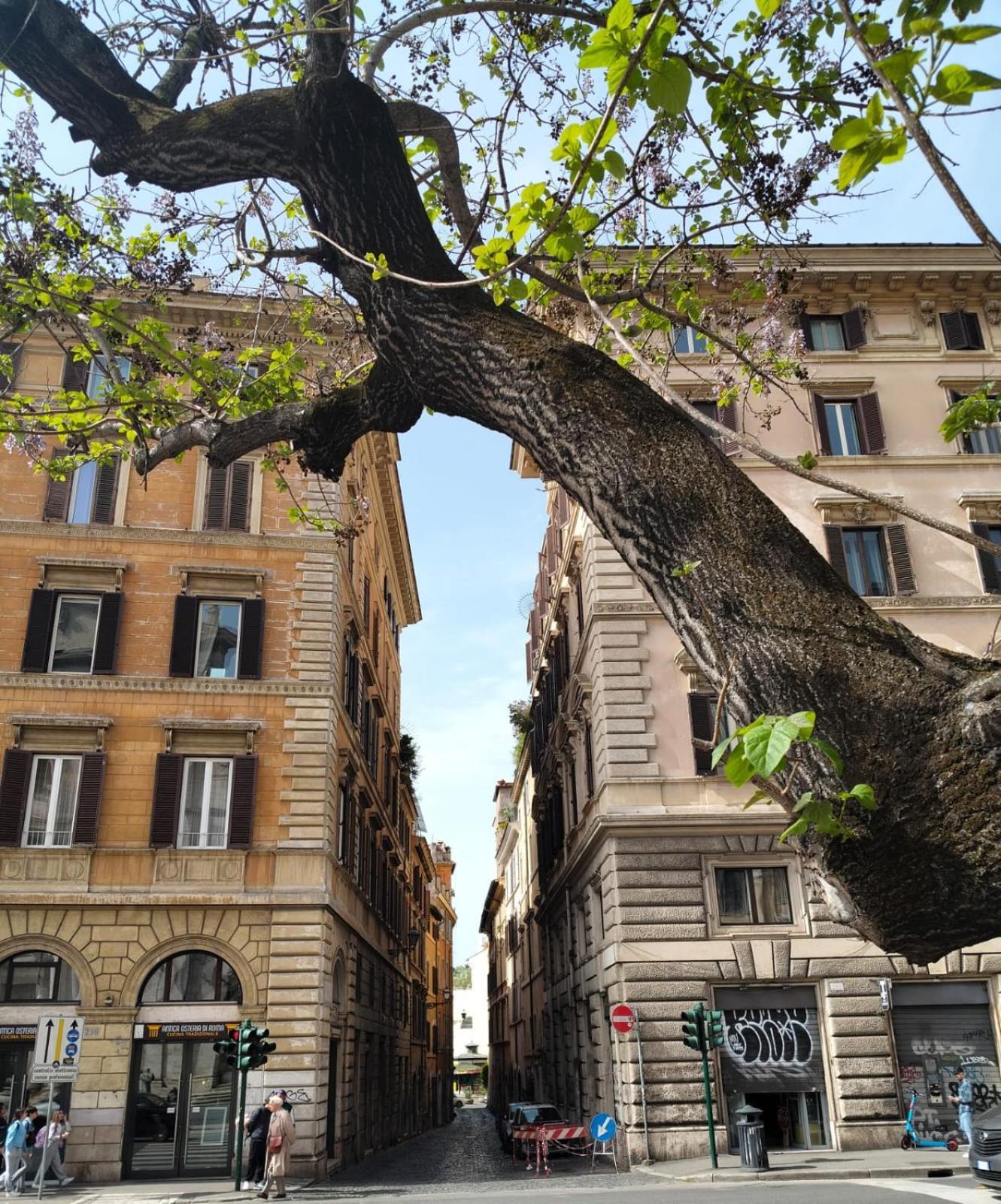 Vatican Near Sweet Home Terrace ローマ エクステリア 写真